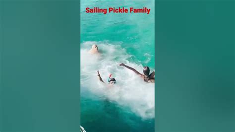 Sailing Pickle Family: 1 bin video Yandexte bulundu